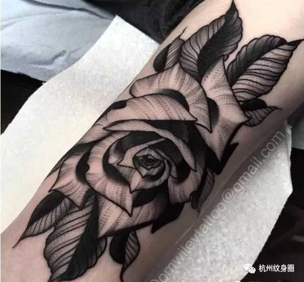 tattoo纹身素材黑玫瑰