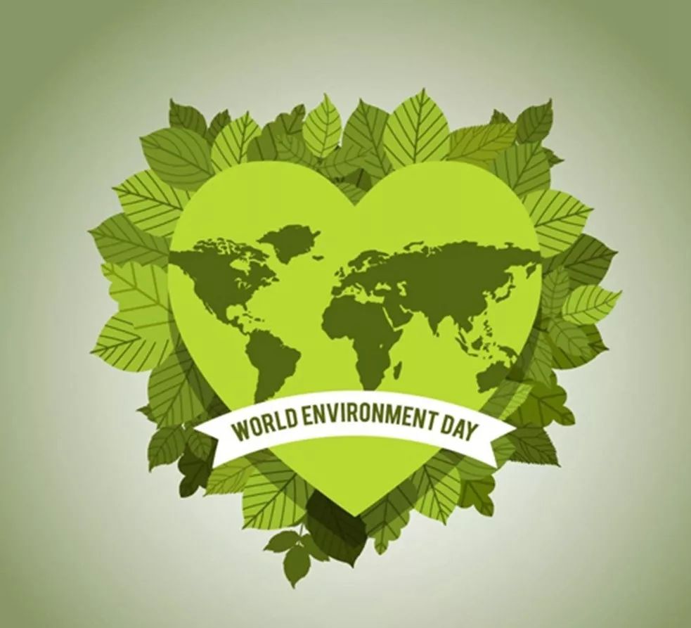 小金鹿电视台保护环境从我做起