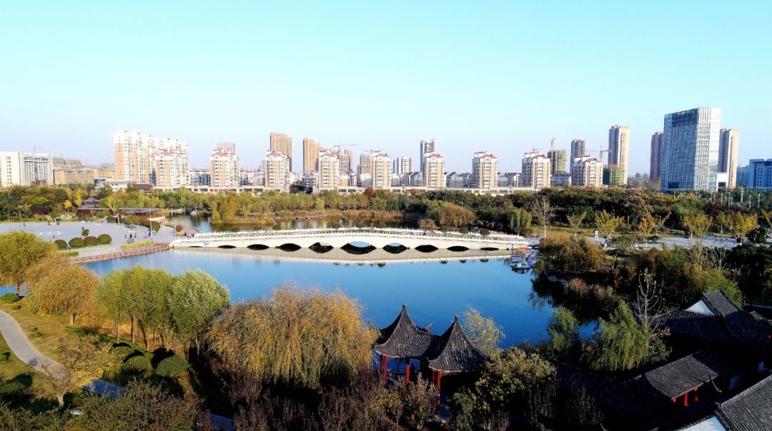 丰县秋高绿意浓美了城市醉了乡亲