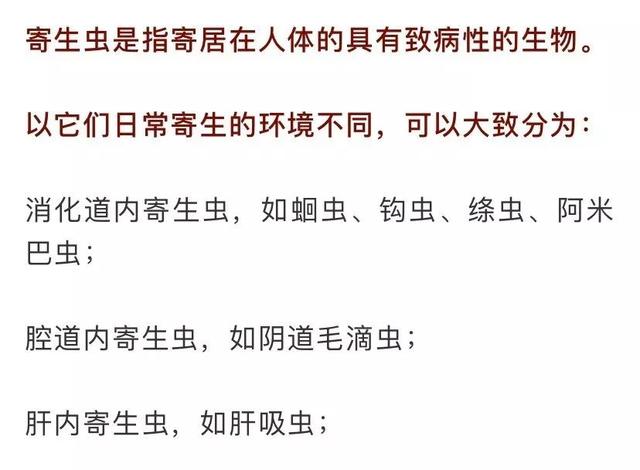 寄生虫的意思 来自搜狐网