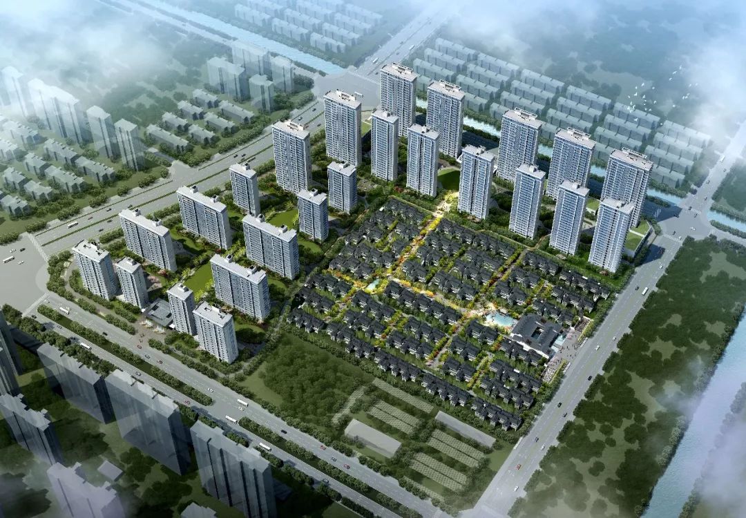 万万没想到超150家外媒追踪报道万人空巷只为争睹