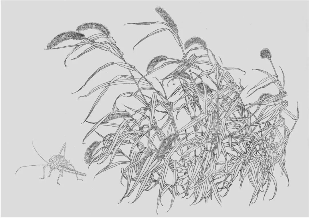 她笔下的闲花野草静谧而超然