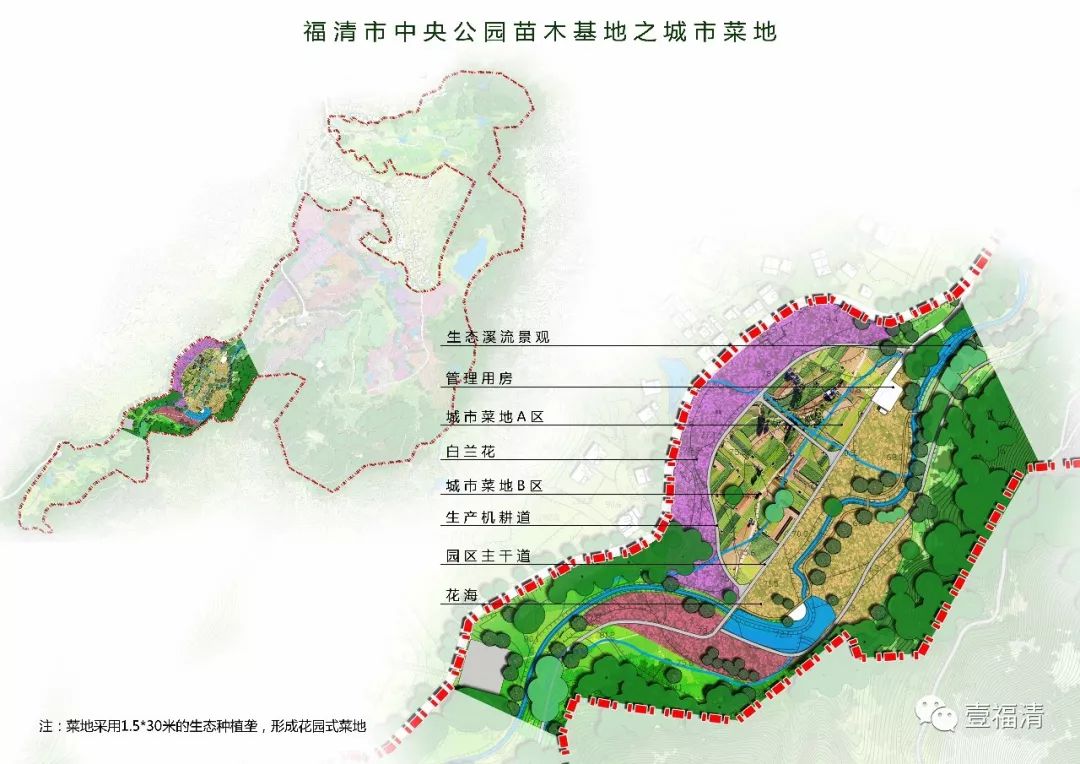 1110亩福清中央公园里竟有这样的世外桃源