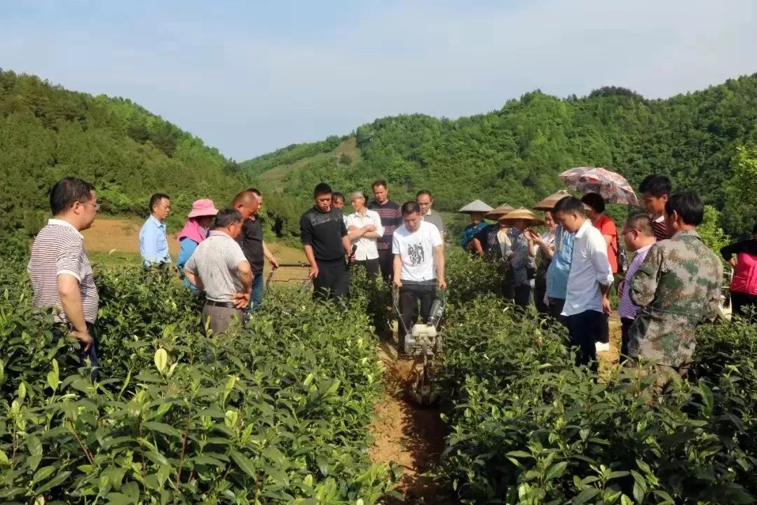 花山苗族乡问计于民求突破推动产业革命