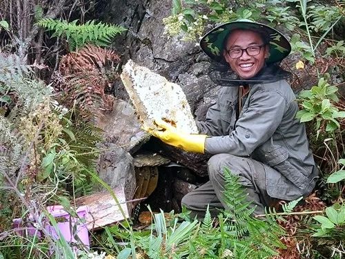 起初他放幾個木桶在山坡上招攬野蜂,野蜂們有的飛進入蜂桶中築巢採集