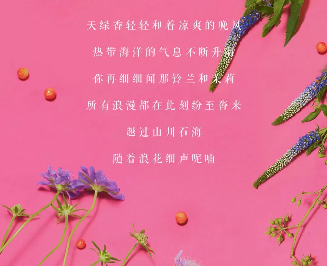 蜡烛花诗歌（关于蜡烛和鲜花的古诗有哪些） 蜡烛花诗歌（关于蜡烛和鲜花的古诗有哪些）《关于蜡烛和鲜花的诗句》 诗歌赏析