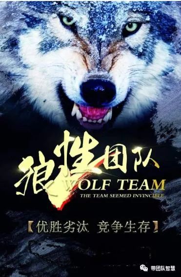 狼性团队别玩虚的聪明的领导狠抓这10条带出虎狼之师