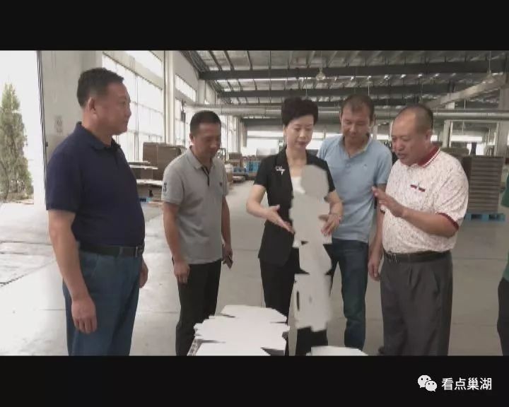 巢湖新闻巢湖市开展迎国庆扫黄打非集中整治行动