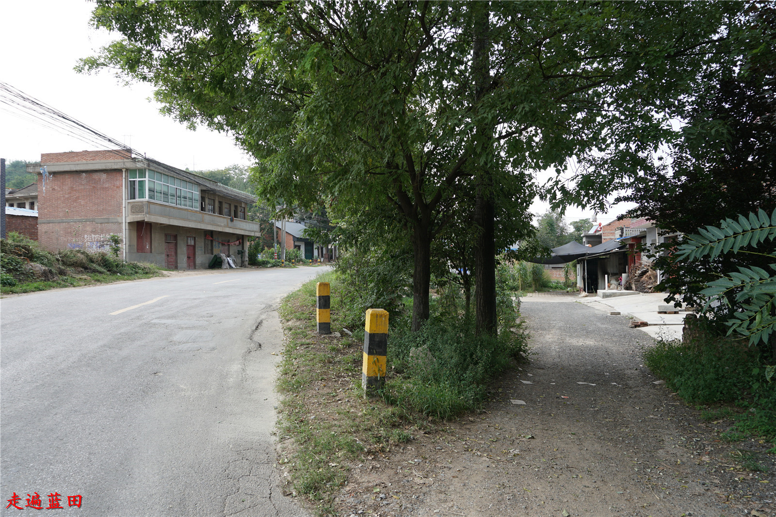 走遍蓝田2019焦岱镇柳家湾村穿越旅行7