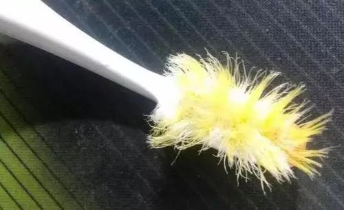 了一周就成这样有一些刷毛很容易变形市面上普通的牙刷惹的祸这可都是