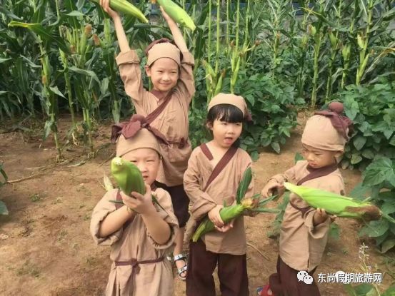 【东尚假期·秋季】悦芽谷·悠然南山九月份户外亲子游活动方案