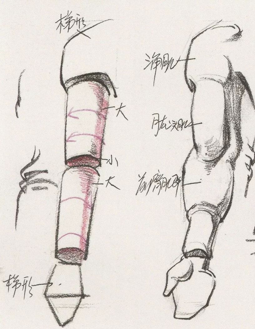 速写干货说好不哭再也不要错过速写局部刻画要领