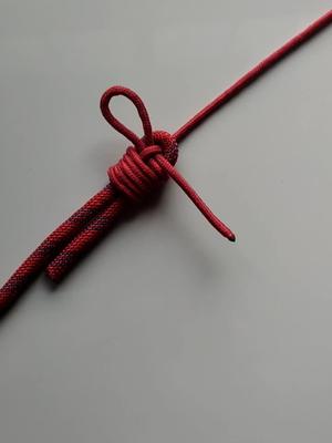 实用绳结