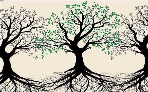 树的结构图,大树的组成部分及图片 - 伤感说说吧