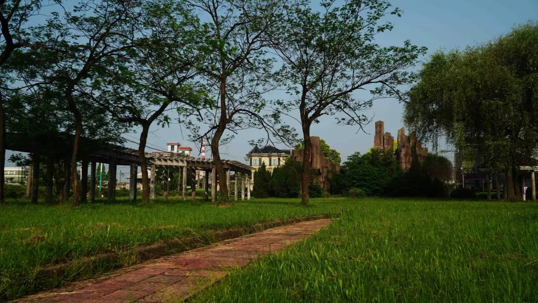 瓜沥镇梅林村图片