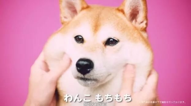 周杰伦说好不哭屠榜但真的无法战胜的是mv里的戳脸杀