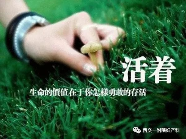 人生在世,有的人以