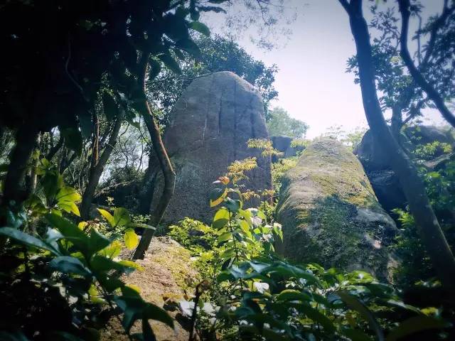 山莊立足於黃花山森林公園,背依汕頭最高峰(大尖山),俯瞰南澳縣城