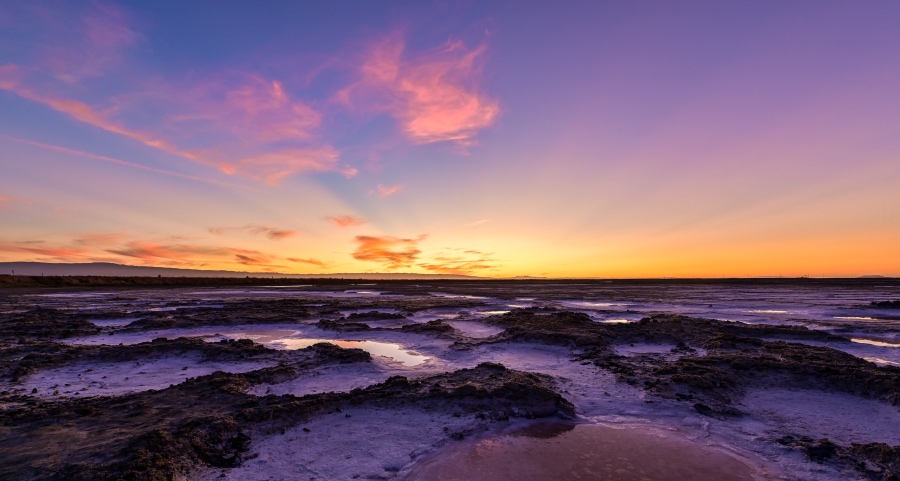 国庆家电市场大促提前打响：未见硝烟只听炮声隆隆！-家电圈官网