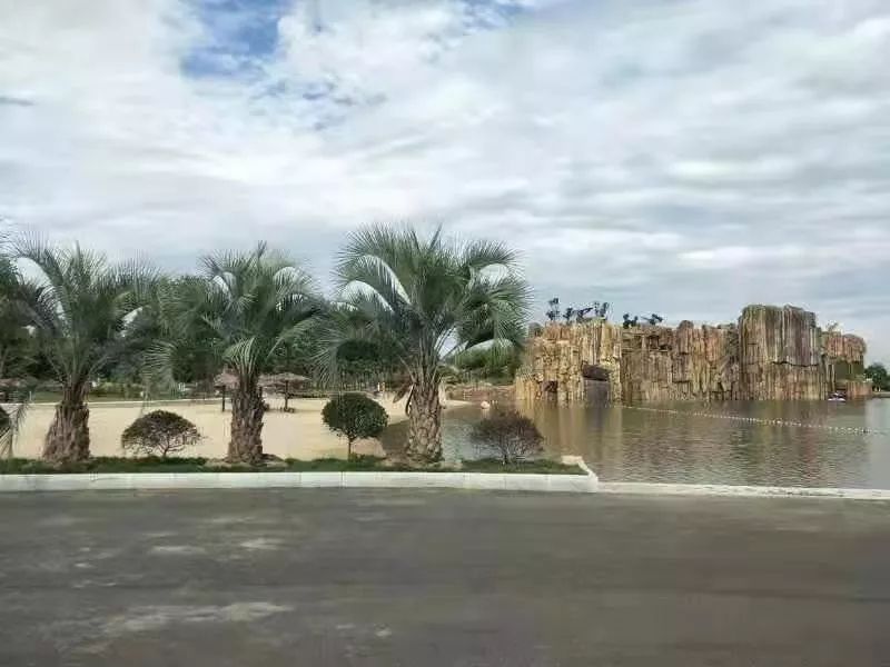 蒙城县举办首届"恋蝶谷"杯摄影展