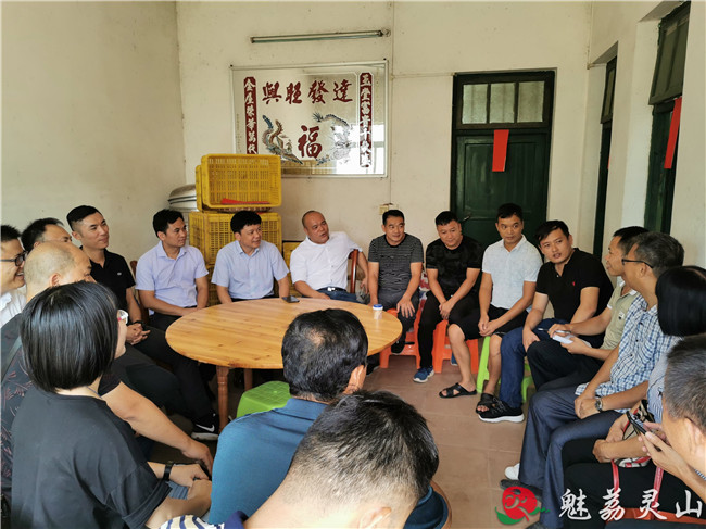 刘钦到新圩镇晏村研究指导大浦高速公路征拆工作_灵山县