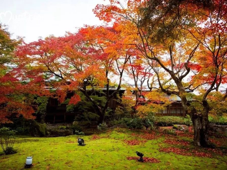 【日本枫情画】说好带我一起赏日本唯美秋色