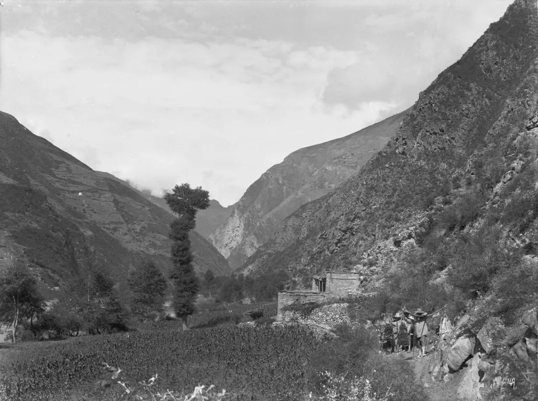 丹巴,小金河谷的农田老照片.