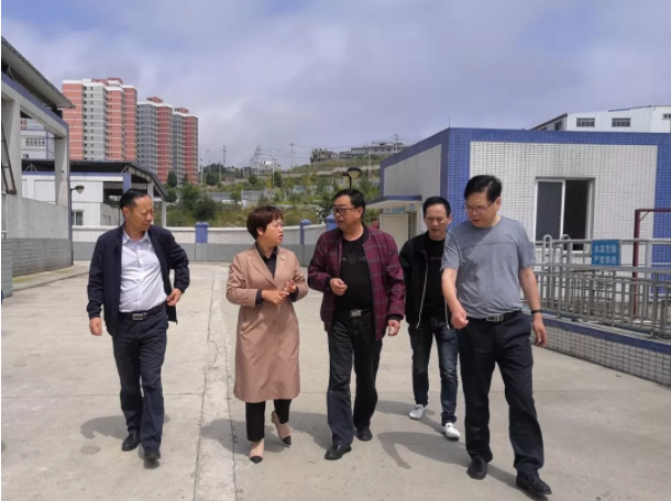 陈萍在调研生猪一体化养殖项目建设时强调打造生态循环经济带动农户