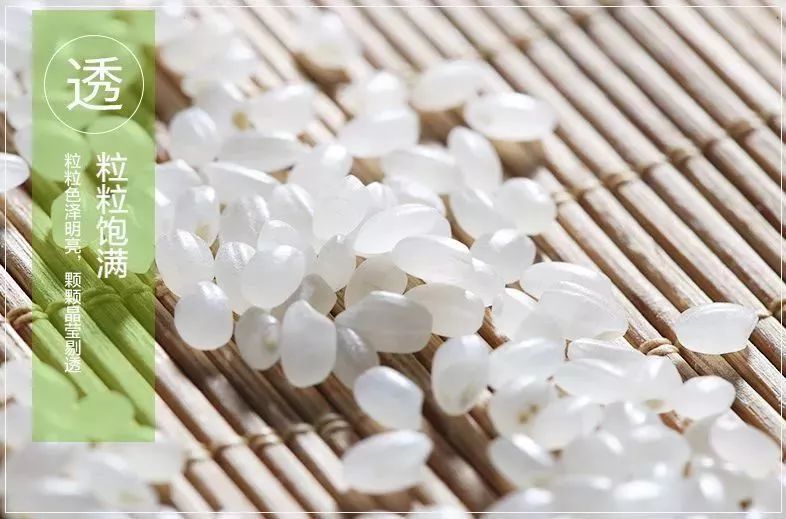 东北大米289元1斤好山好水好大米爱心助农需要你