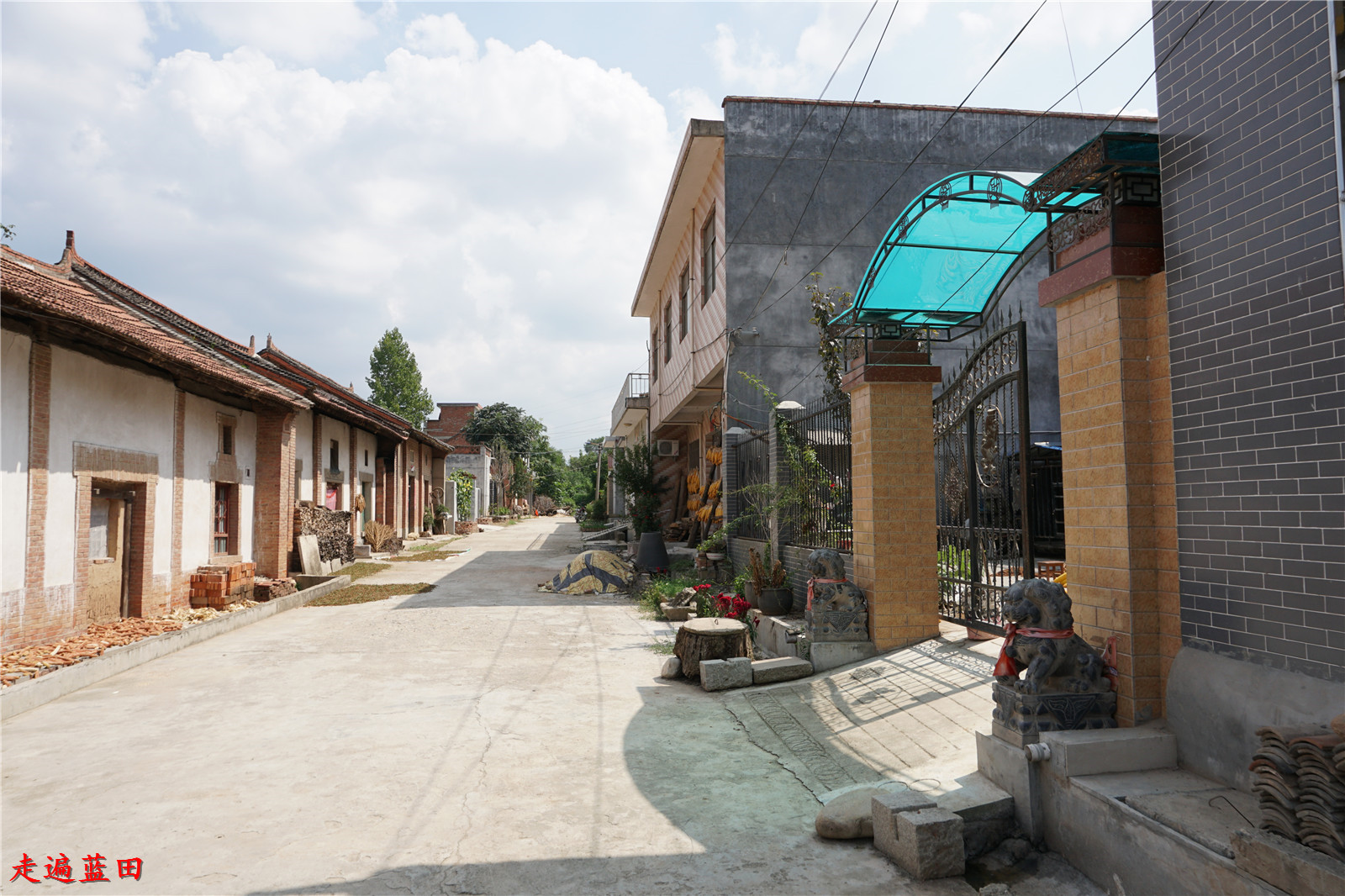 走遍蓝田2019焦岱镇柳家湾村穿越旅行7