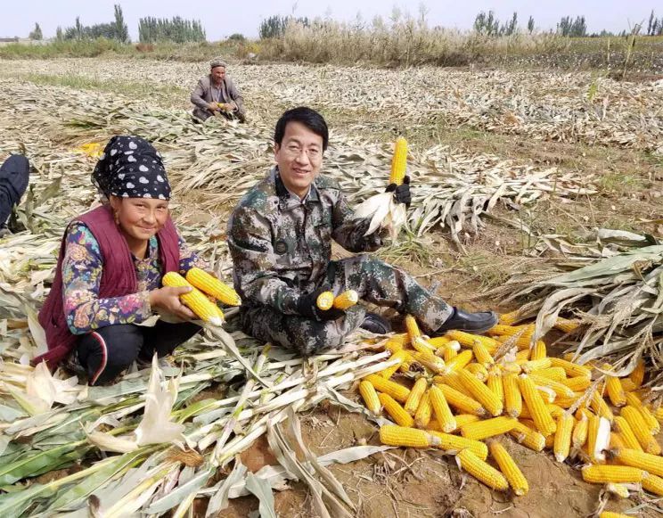 歲月如河澎湃如歌記新疆住房和城鄉建設廳副廳長全河