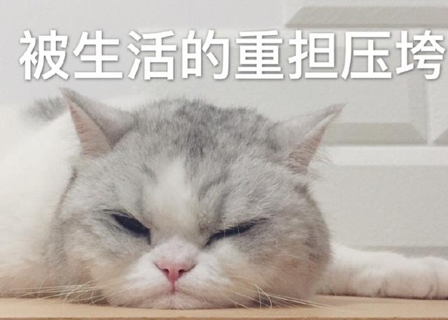 眼袋有多烦人?影响整体颜值