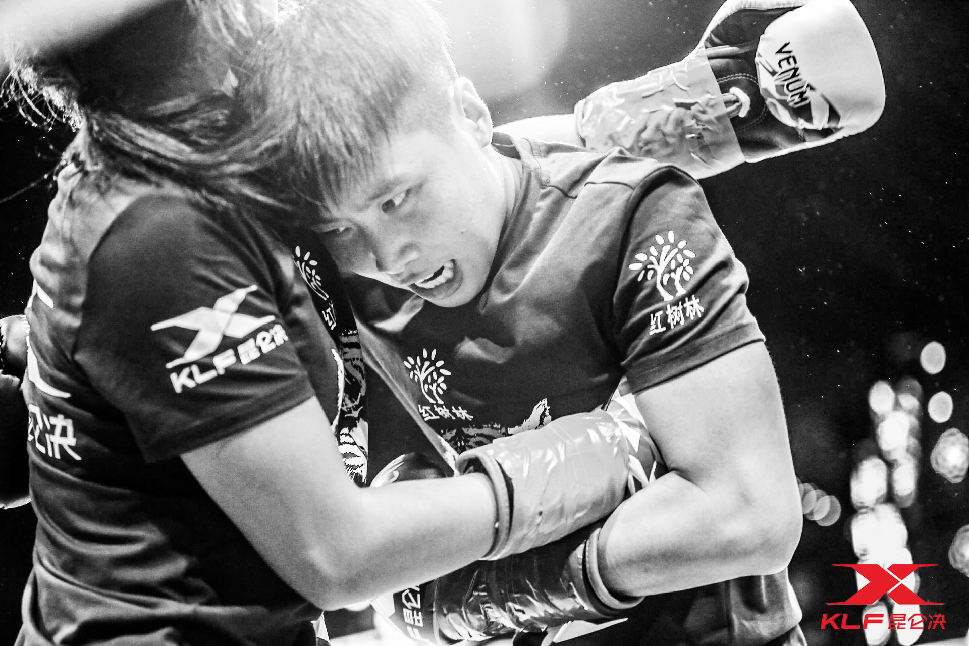 中国搏击的半壁江山出动群雄相聚赤水即享影像现场直击昆仑决赤水之战