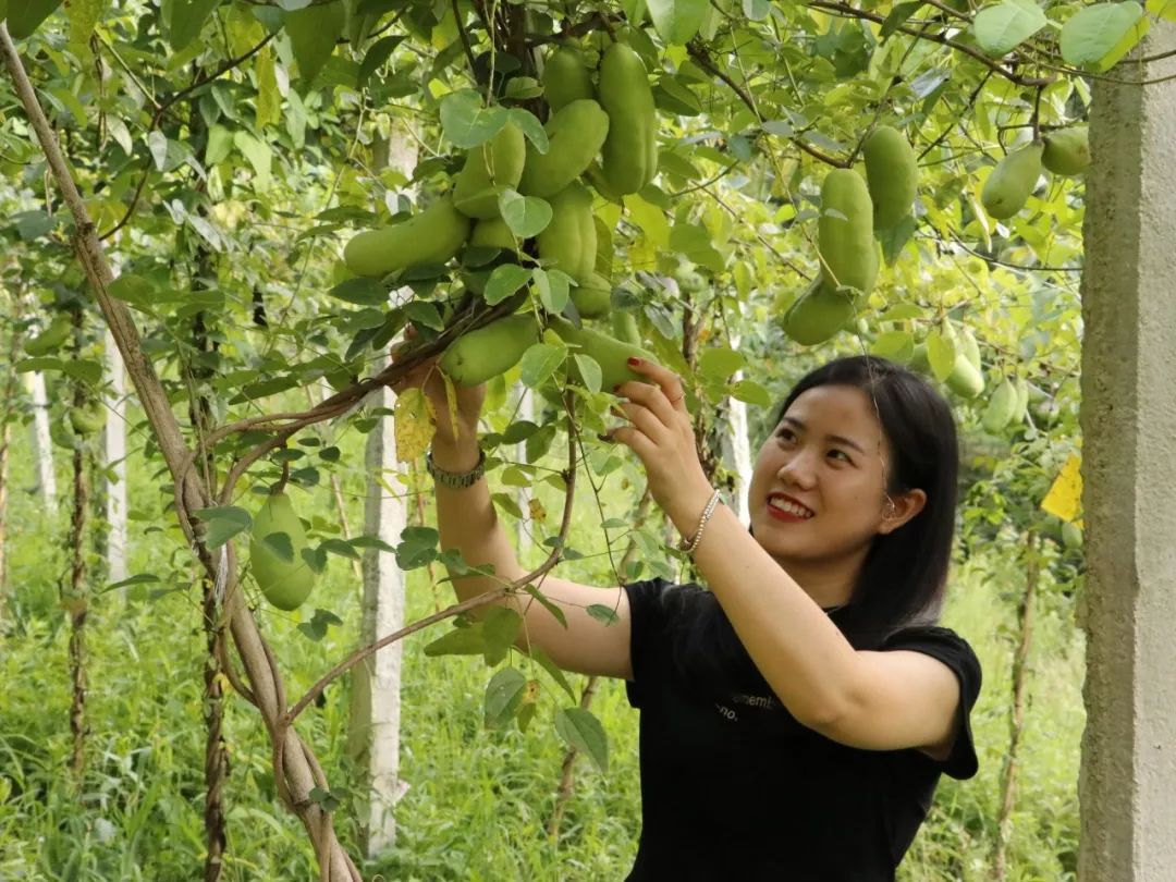 巫溪县美女多的地方图片