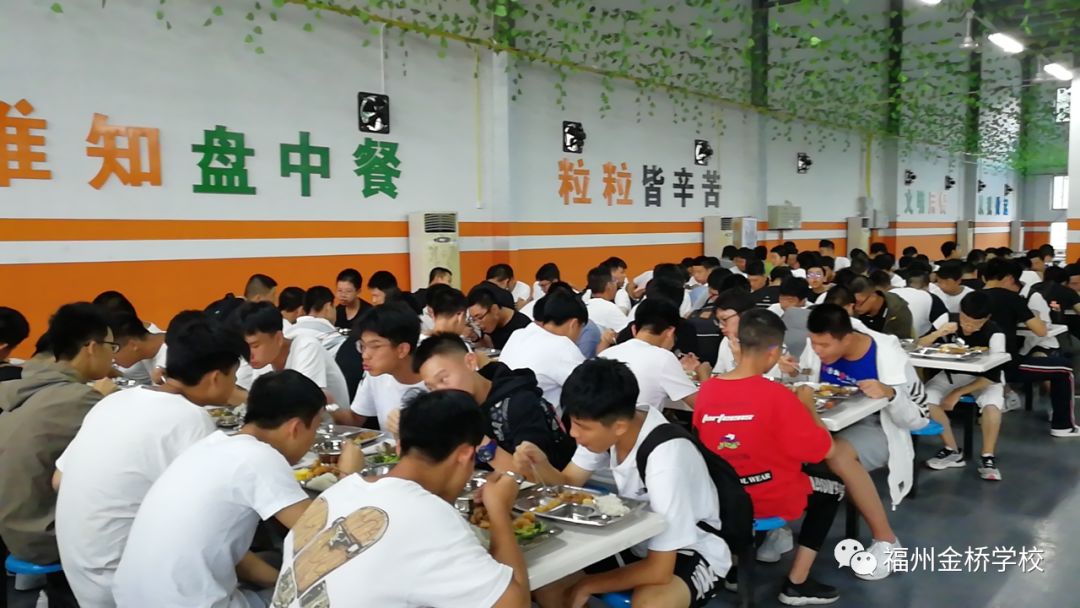 雏鹰展翅志高远,搏击长空会有时
