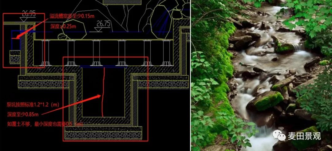 麦田晨享会3.0 | 第八期回顾 影响水景效果的要素