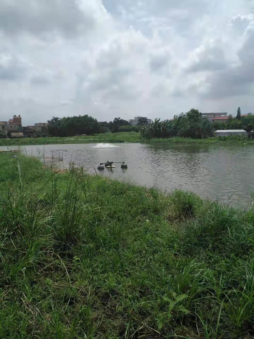 水产养殖要懂得和学会耕塘牧鱼