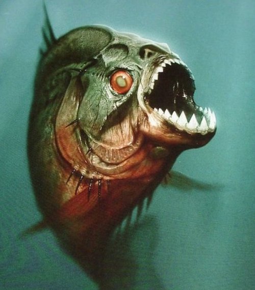 可怕的食人鱼真的存在竟可以活吞吐骨头