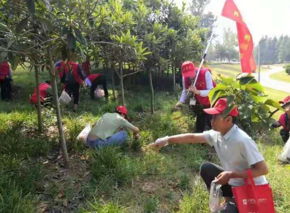 在活动开始前,界首市创卫办召开工作