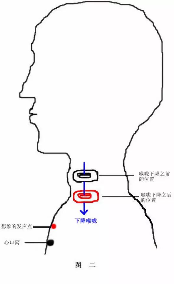 唱歌时腔体打开示意图图片