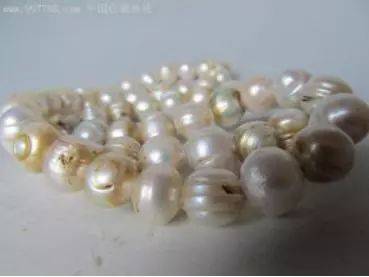东珠究竟是什么？一颗居然价值30万，已经灭绝_珍珠
