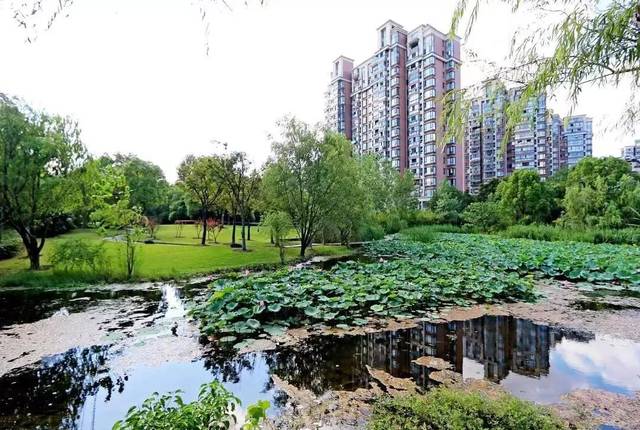 穿过莲花南路春申塘桥下方的步道,就来到了春申景城小区处的步道.