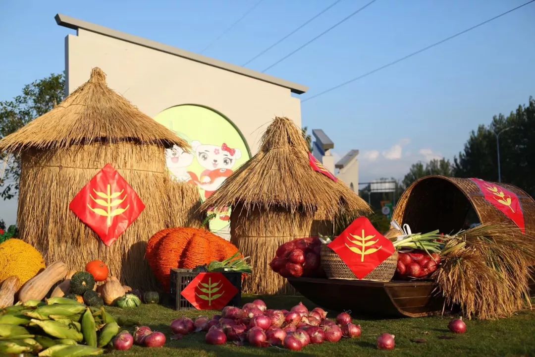 丰收节会场布置图图片