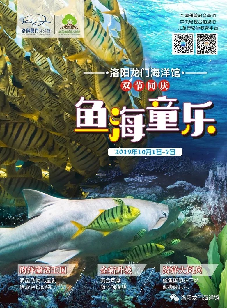 洛陽龍門海洋館國慶鉅獻——黃金魚海風暴,霸氣鯊魚護旗,熱血來襲!