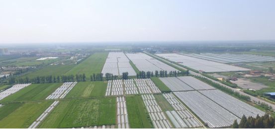 以上平台的建成,将会推动潜半夏进入一二三产业融合发展的快车道.