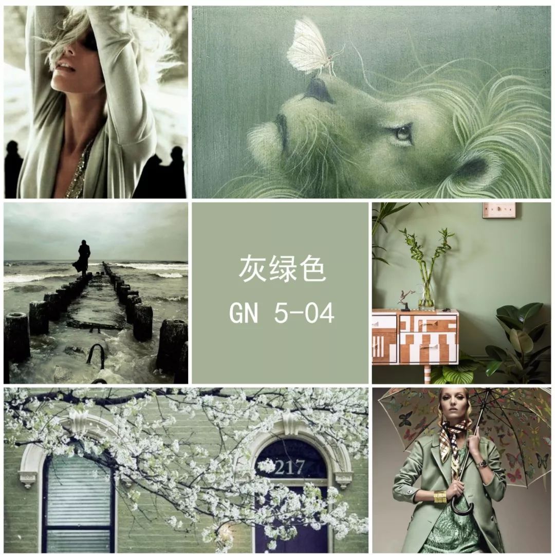 2020全球色彩趋势豆蔻青让生活从心出发