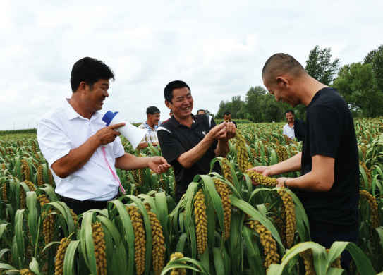 新时代农业科技专家创新能手盛立国cctv新闻报道农民种植专家