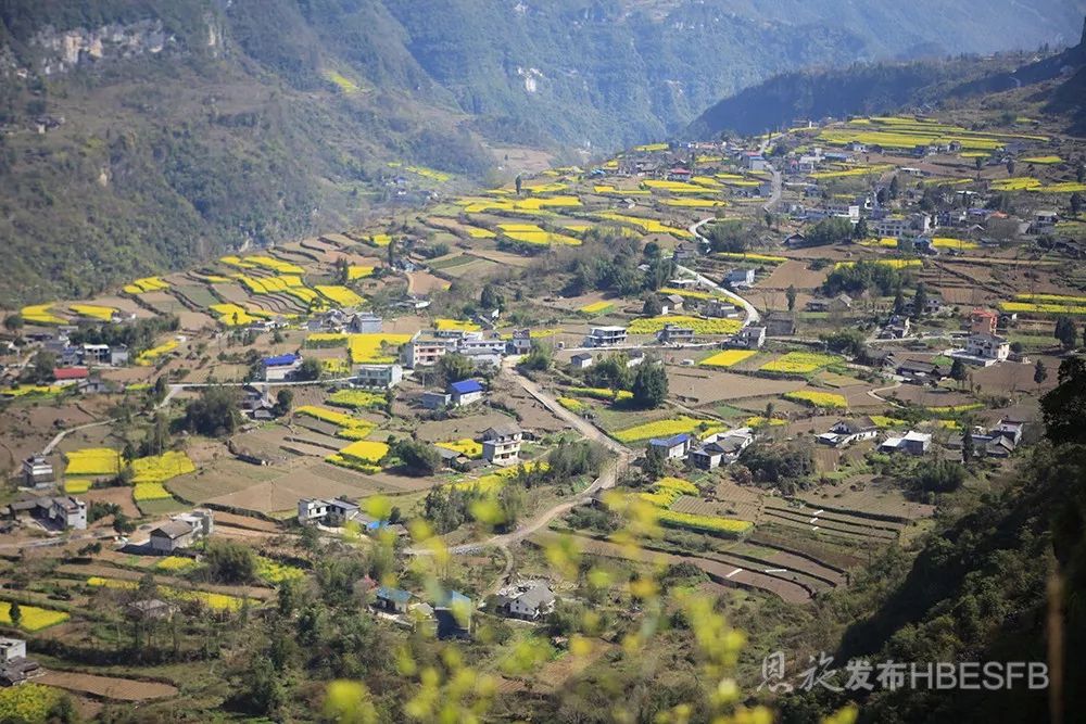 恩施州唯一这个全国性奖项与红土有关