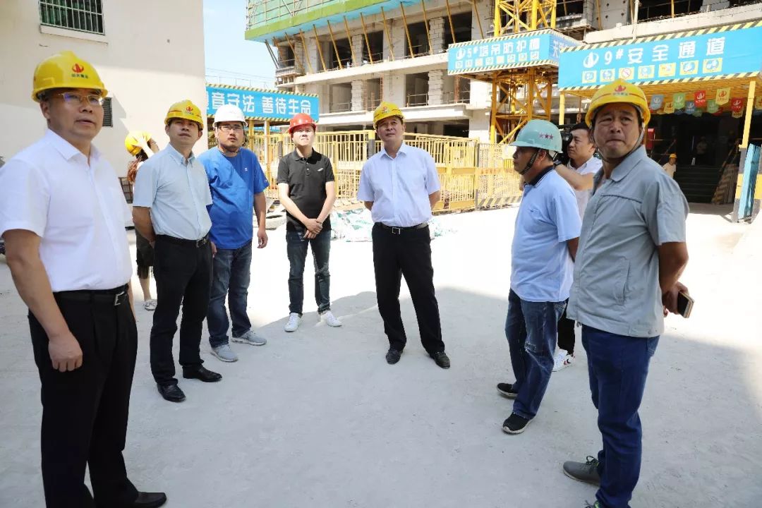 区委常委政法委书记统战部部长徐晓枫督查七都镇安全生产工作