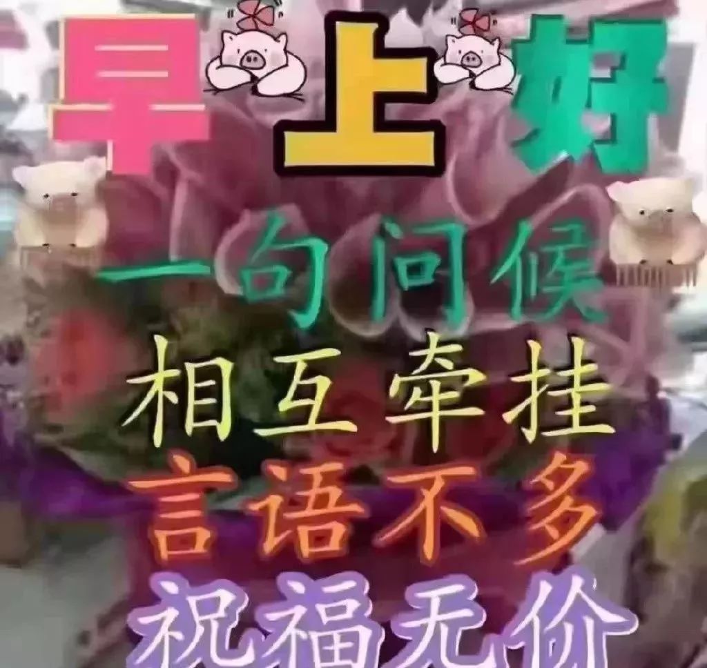 最新暖心早上好問候語陽光句子微信清晨祝福語圖片